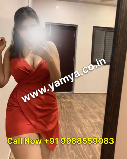amritsar escort - Profile