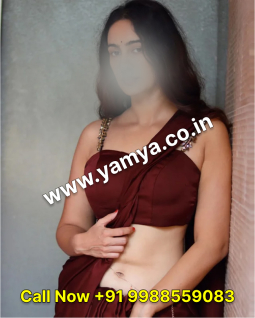 amritsar escort - Profile